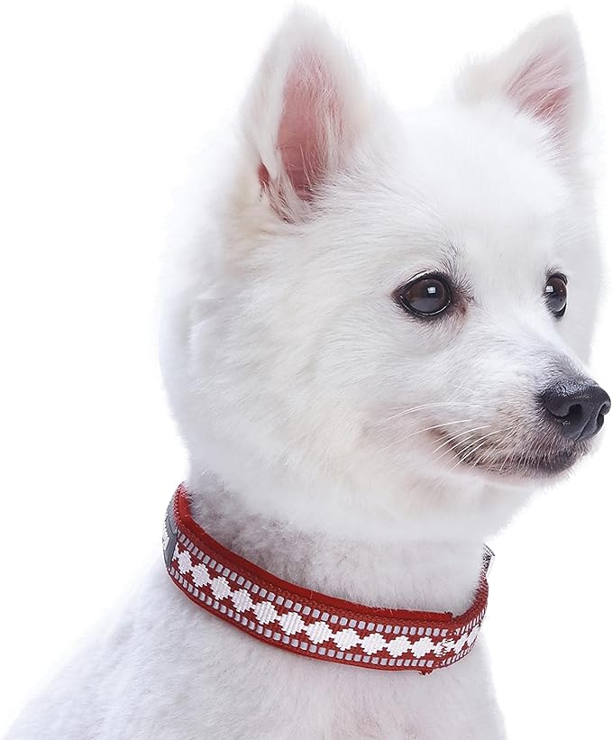 Blueberry Pet Reflective Jacquard Dog Collar with Neoprene Padding & Metal Buckle | Soft & Adjustable Safety Collar - Marsala Red, Neck 9-12.5", for Small Breed