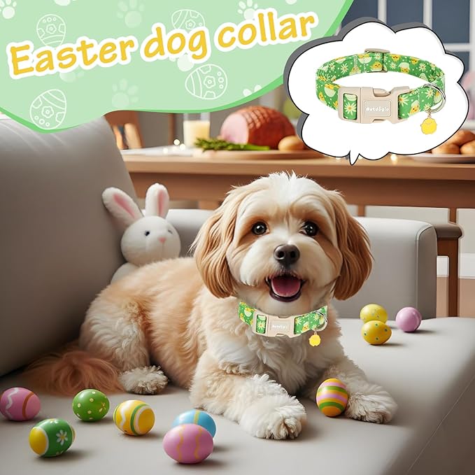 Easter Dog Collar for Medium Dogs, Easter & Spring Theme Mediuml Dog Collar with Cute Chick Hatching Pattern, Adjustable Easter Dog Collars Girl Boy Collar for Dogs -M