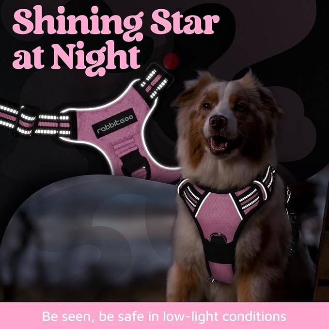 rabbitgoo Dog Harness for Large Dogs, No Pull Pet Vest with 3 Buckles, Adjustable Soft Padded Pet Harness with Easy Control Handle and Reflective Strips, Light Pink, XL