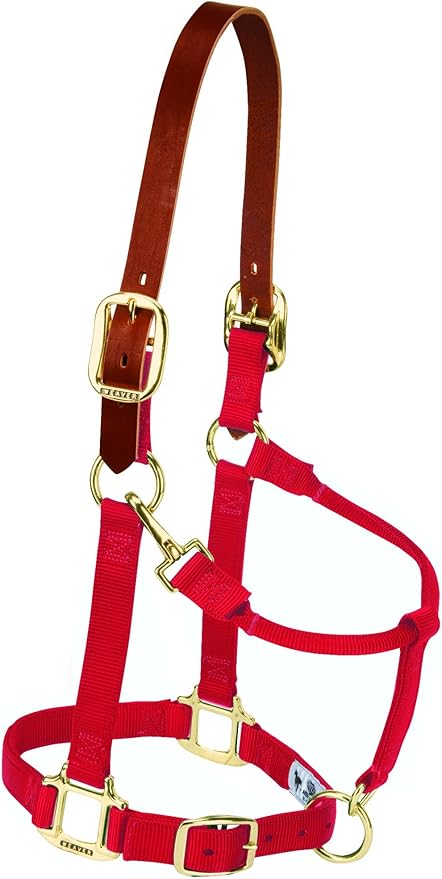 Weaver Equine Breakaway Horse Halter, Supple Leather Crown, Adjustable Chin & Throat Snap Halters for Horses, Equine Tack