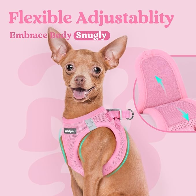rabbitgoo Small Dog Harness, Step-in Soft Mesh Puppy Vest with Safety Buckle, Breathable Reflective Pet Harness for Extra Small Dogs, Light Pink XXXS