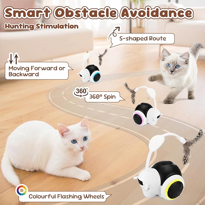 SlowTon Cat Interactive Toy for Indoor Cats - Remote Control Automatic Smart Moving Cats Toys with 2 Modes, Rechargeable Kitten Feather Toys for All Breeds of Bored Cat(Black)