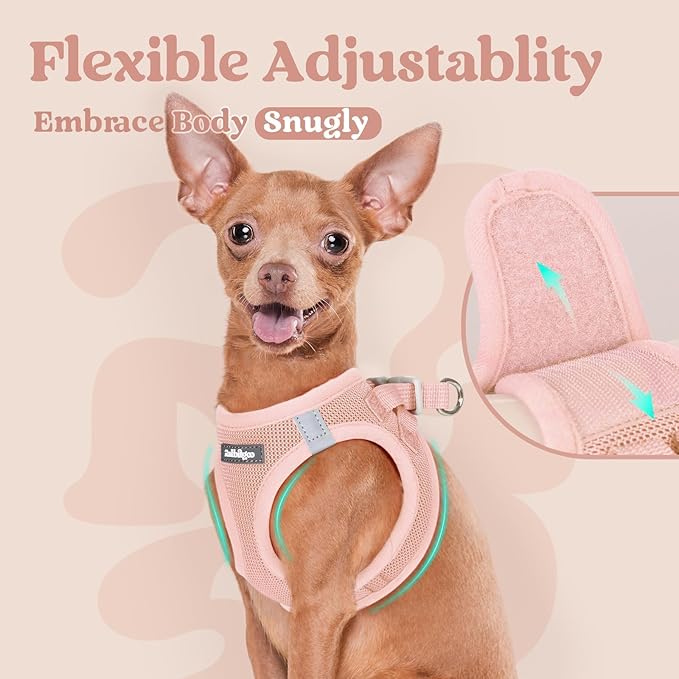 rabbitgoo Small Dog Harness, Step-in Soft Mesh Puppy Vest with Safety Buckle, Breathable Reflective Pet Harness for Small Sized Dogs, Pink XS