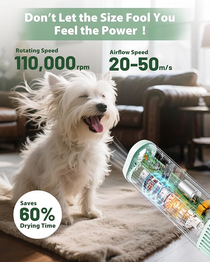 Hands-Free Dog Hair Dryer – Low Noise Pet Grooming Blower for Small & Medium Dogs Cats, Fast Drying, Adjustable Heat & Speed, Portable (Green)