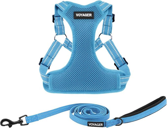 Best Pet Supplies Voyager Adjustable Step-in Flex Breathable Mesh Dog Harness for Small Medium Large Dogs Leash Set (Baby Blue), L