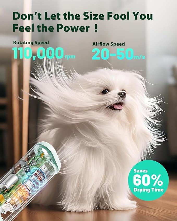 L&W BROS. 2-in-1 Pet Hair Dryer with Clamp Stand – Wearable & Hands-Free Dog Grooming Dryer, 950W Low Noise Blower with 5 Heat & 3 Speed Settings, for Small to Medium Pets (Green)
