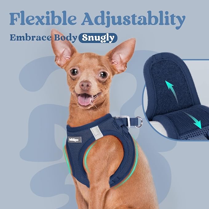 rabbitgoo Small Dog Harness, Step-in Soft Mesh Puppy Vest with Safety Buckle, Breathable Reflective Pet Harness for Small Sized Dogs, Navy Blue M