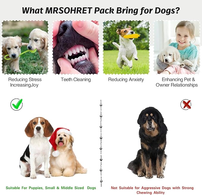 20Pcs Puppy Chew Toys for Teething, Dog Chew Rope Toys, Pet Dog Toothbrush, Treat Balls, Plush Squeaky Toy for Small Medium Dogs with Basket