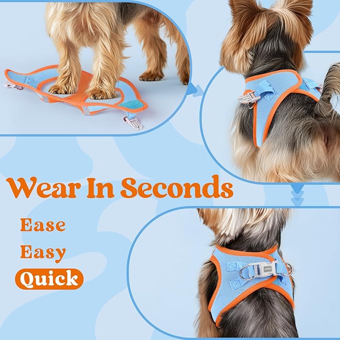 rabbitgoo Small Dog Harness, Step-in Soft Mesh Puppy Vest with Safety Buckle, Breathable Reflective Pet Harness for Small Sized Dogs, Blue & Orange XS