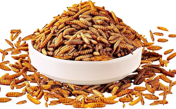 2LB Dried Black Soldier Fly Larvae Treat for Chicken, 100% Natural Non-GMO More Calcium Than Dried Mealworms High Protein Chicken Feed for Birds, Ducks, Layer Hens