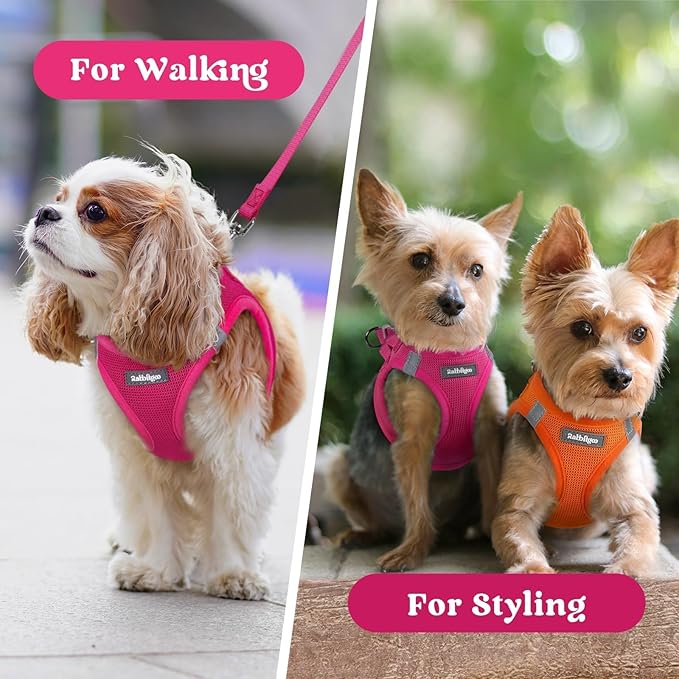 rabbitgoo Small Dog Harness, Step-in Soft Mesh Puppy Vest with Safety Buckle, Breathable Reflective Pet Harness for Small Sized Dogs, Rose Red S