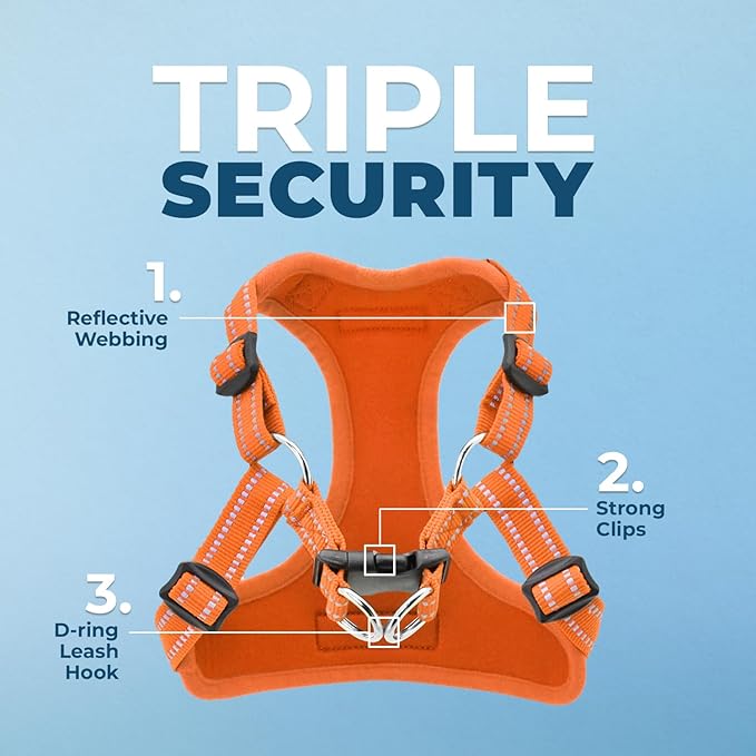 Best Pet Supplies Voyager Adjustable Step-in Flex Breathable Mesh Dog Harness for Small Medium Large Dogs (Orange), XL