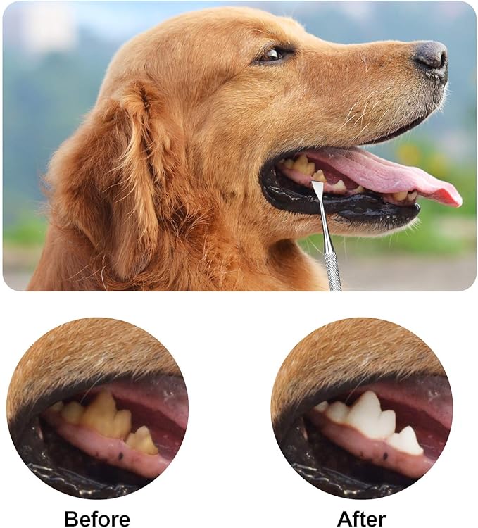 Mudder 4 Pieces Dog Dental Tools Pet Tooth Scaler and Scraper Set Stainless Double Headed Cleaning Tool Tartar Remover for Dogs Cats