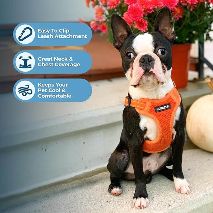 Best Pet Supplies Voyager Mesh Dog Breathable Harness Reflective Stitching, All Weather Adjustable for Walking Training, or Running - Heavy Duty & Durable, Harness (Orange), L
