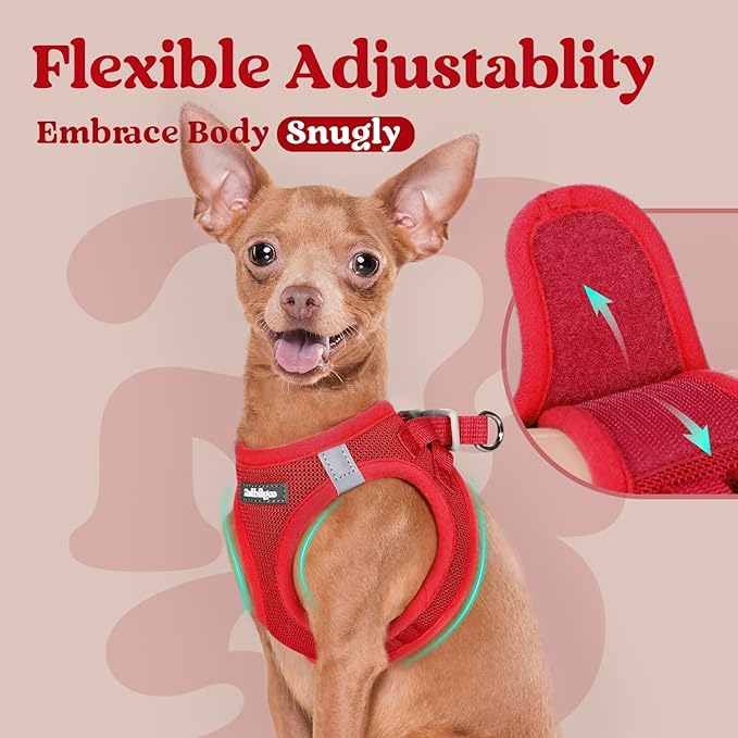 rabbitgoo Small Dog Harness, Step-in Soft Mesh Puppy Vest with Safety Buckle, Breathable Reflective Pet Harness for Large Dogs, Red XXL