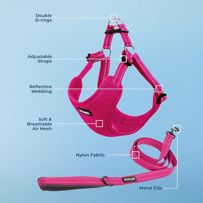 Best Pet Supplies Voyager Mesh Dog Breathable Harness Reflective Stitching, All Weather Adjustable for Walking Training, or Running - Heavy Duty & Durable, Harness Leash Set (Fuchsia), XS