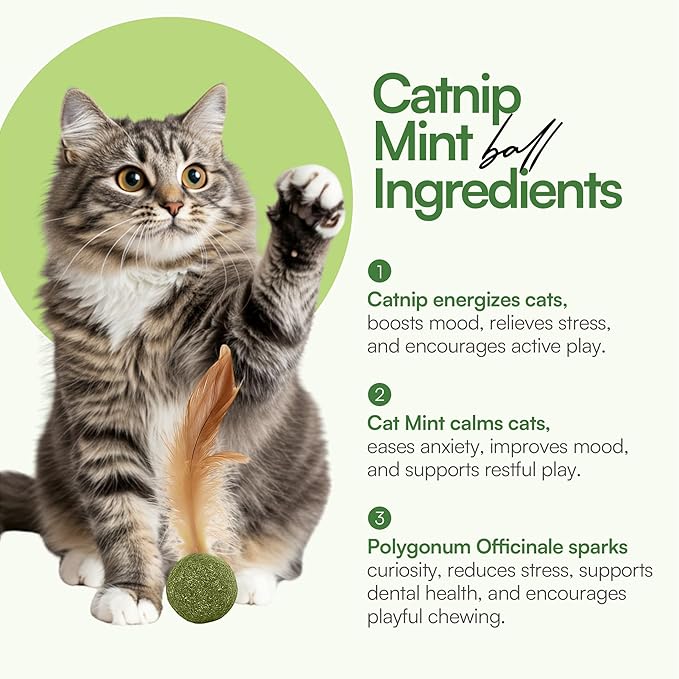 3 Pcs Catnip Balls with Feathers – Natural Catnip Toy for Play, Stress Relief & Healthy Enrichment Interactive Cat Toys Perfect for Indoor Cats & Kittens, Encourages Active Play & Wellness