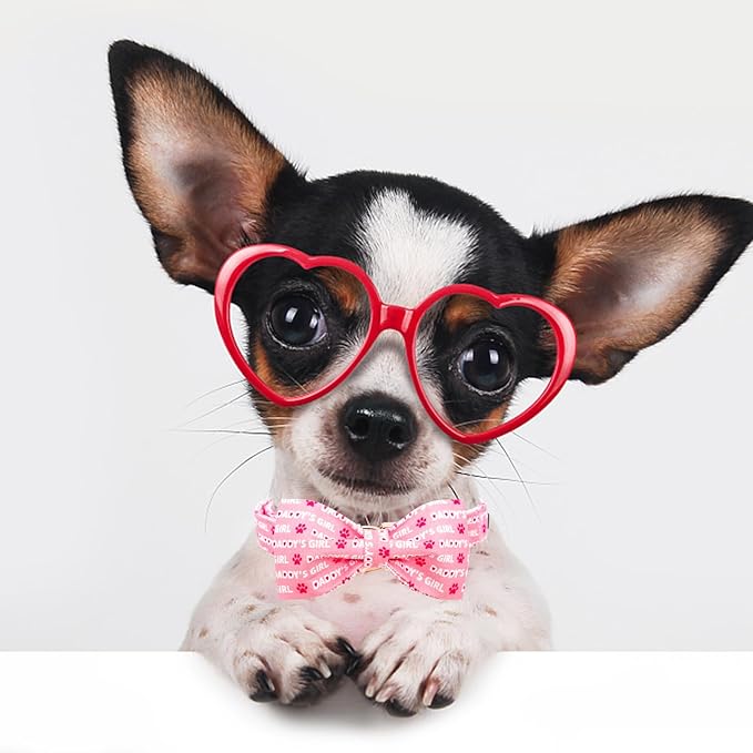 Lionheart Glory Dog Bow Collar - Valentine's Day Collar for Small Dogs, Pink with Bowtie