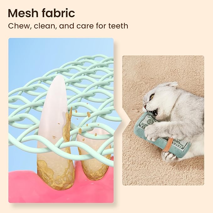 Potaroma Cat Toys US-Dollar Catnip Crinkly Sound Toy, Mesh Fabric for Teeth Cleaning, Interactive Kicker Toys for Indoor Kitten Exercise 6.0 Inches for All Breeds