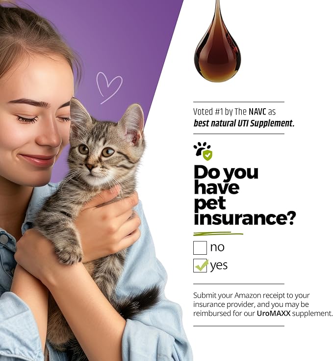 Cat & Dog Urinary Tract Treatment, Bladder & Kidney Support for Dogs and Cats, Powerful Yet Gentle Pet Care, with Liquid Cranberry & Glucosamine, Chicken Flavor, 6 oz Bottle, 1 Pack