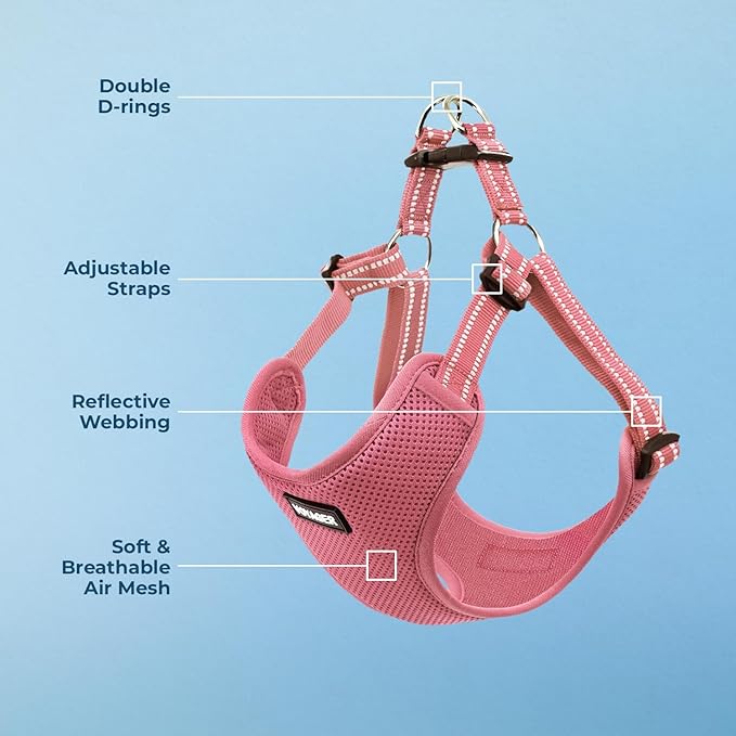 Best Pet Supplies Voyager Adjustable Step-in Flex Breathable Mesh Dog Harness for Small Medium Large Dogs (Pink), S