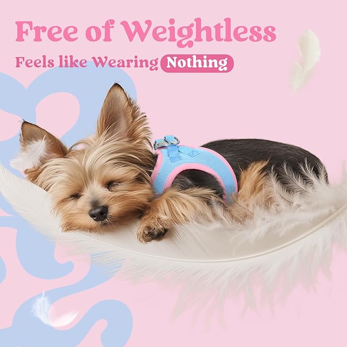 rabbitgoo Small Dog Harness, Step-in Soft Mesh Puppy Vest with Safety Buckle, Breathable Reflective Pet Harness for Small Medium Dogs, Blue & Light Pink L