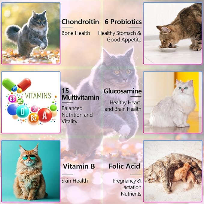 Cat Multivitamin, 15 in 1 Cat Vitamins Liquid Drops, Supports Immune Health, Promotes Joint, Skin and Coat Health, Cats Vitamin and Supplements with Glucosamine & Cranberry 2 fl oz
