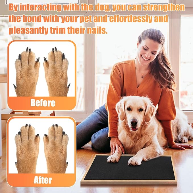 Pet Nail Self Adhesive Replacement Emery Paper Suitable for Glass Doors Fits Most Dog Scratch Pad Cat Litter Box DIY on The Places Where Pets Like to Scratch Alternatives to Cat and Dog Nail Clippers