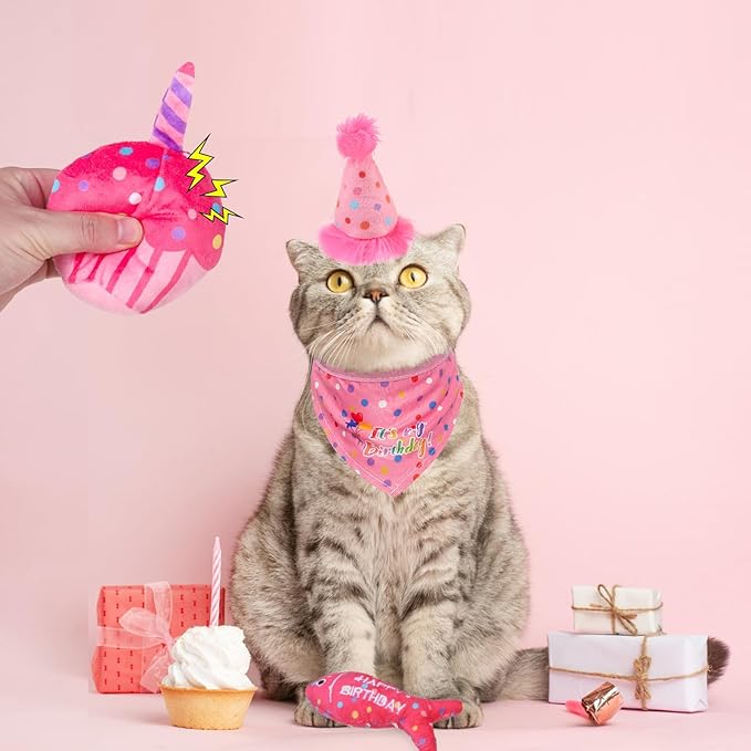 BINGPET Catnip Toys for Indoor Cats, Cat Birthday Hat and Interactive Plush Kitten Chew Toys - Cute Cake, Fish, Balloon Toys with Crinkle Paper and Catnip Inside Pink
