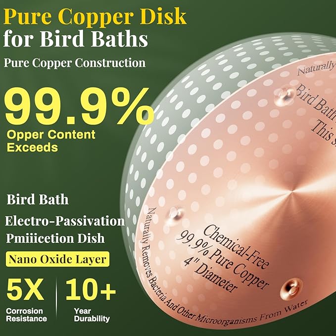 2 Pcs Bird Bath Copper Disk, 0.6mm Thick Reinforced 99.99% Pure Copper Birdbath Purification Disk, with 4 Point Support for Outdoor Birdbaths Bowls Cleaner, 4 Inch (Classic)