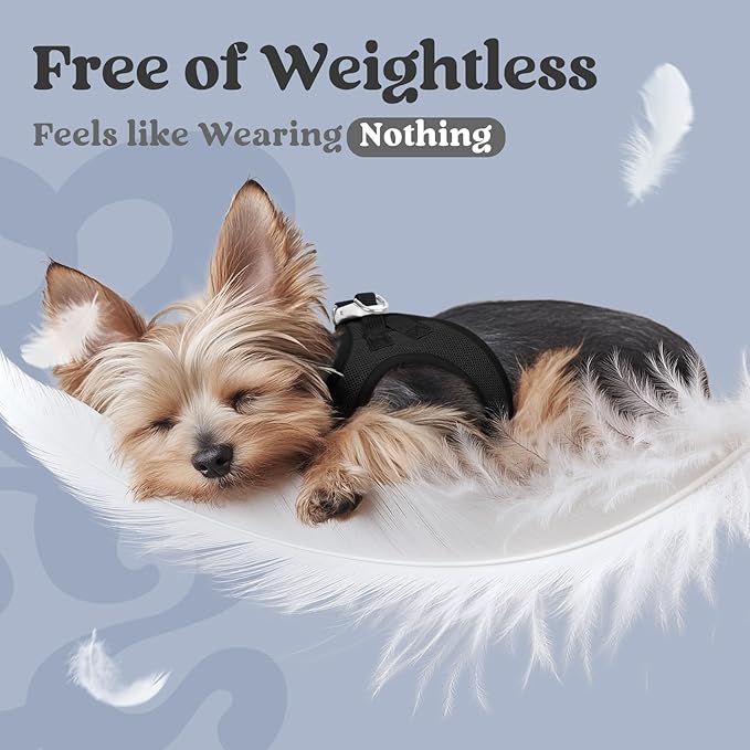 rabbitgoo Small Dog Harness, Step-in Soft Mesh Puppy Vest with Safety Buckle, Breathable Reflective Pet Harness for Small Sized Dogs, Black M