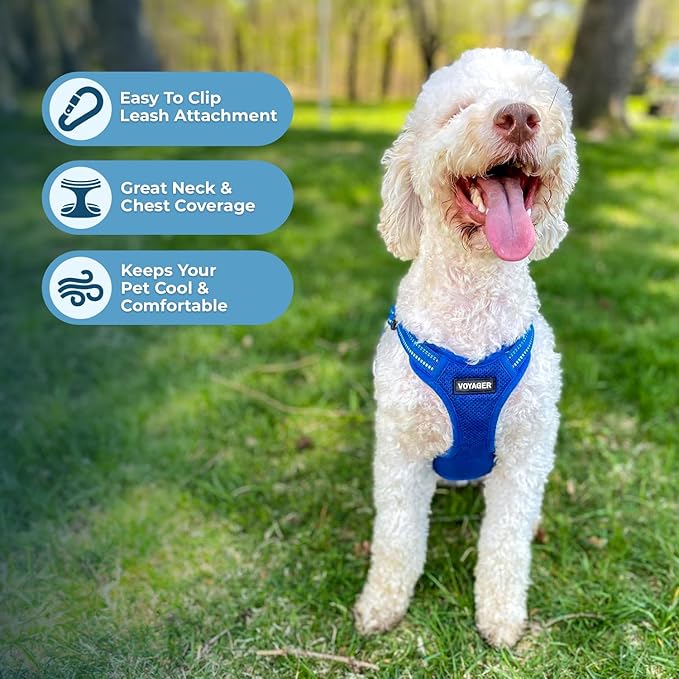 Best Pet Supplies Voyager Adjustable Step-in Flex Breathable Mesh Dog Harness for Small Medium Large Dogs (Royal Blue), XL