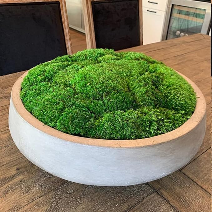 Preserved Pole Moss Pillow Bun Cushion Natural Green Decorative Real Natural Green DIY Kit Terrariu7r Table Decor Wedding (10.5 sq.ft., Green-B)