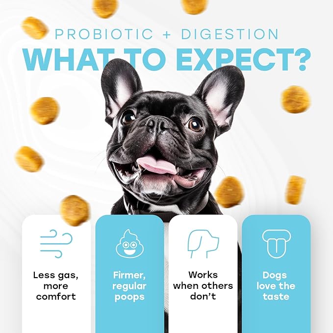 Probiotics for Dogs - PhD Endorsed Digestive Enzymes - Gut Health, Diarrhea & Bowel Support - Dog Treats with Turmeric, Omega-3 & Fiber - Immune Soft 140 Chews - Beef Flavor - Made in USA