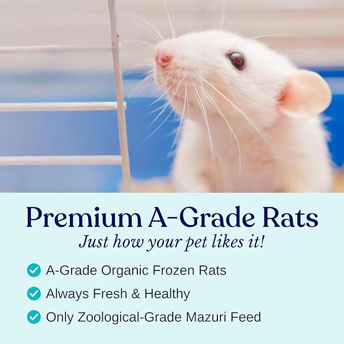 MiceDirect Frozen Rat Pups Snake Food - Frozen Rats for Snakes like Juvenile Ball Pythons, Adult Corn & Ball Pythons, Sub-Adult Red Tail Boas, Monitor Lizards, Birds of Prey - 2.5-3.5 in (125 Count)