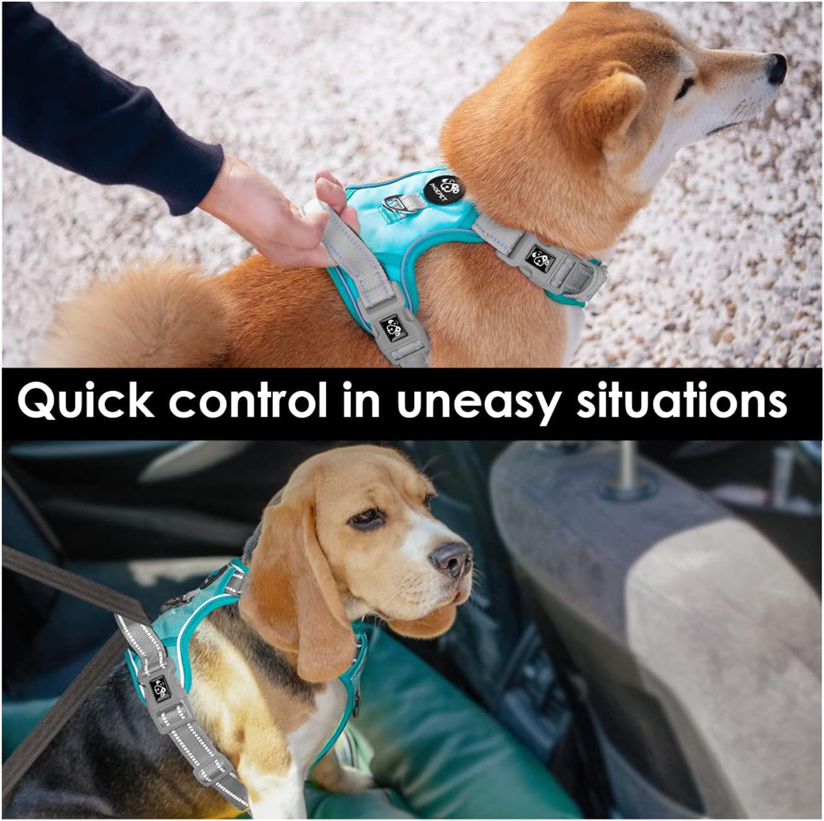 PHOEPET No Pull Dog Harness, Unique Colors Reflective Adjustable Dog Vest, with Soft Training Handle Metal Clips for Small Medium Large Dogs (Mint Green Base & Grey Straps,L)