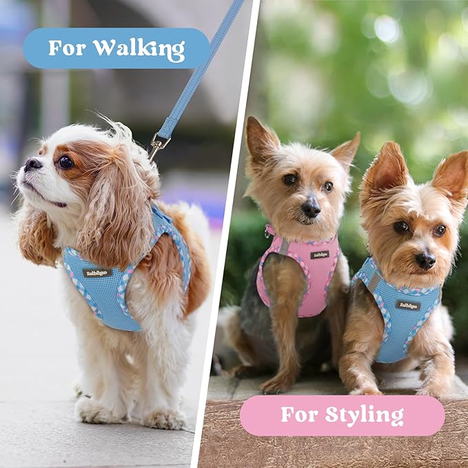 rabbitgoo Small Dog Harness, Step-in Soft Mesh Puppy Vest with Safety Buckle, Breathable Reflective Pet Harness for Small Sized Dogs, Blue & Plaid Trim S