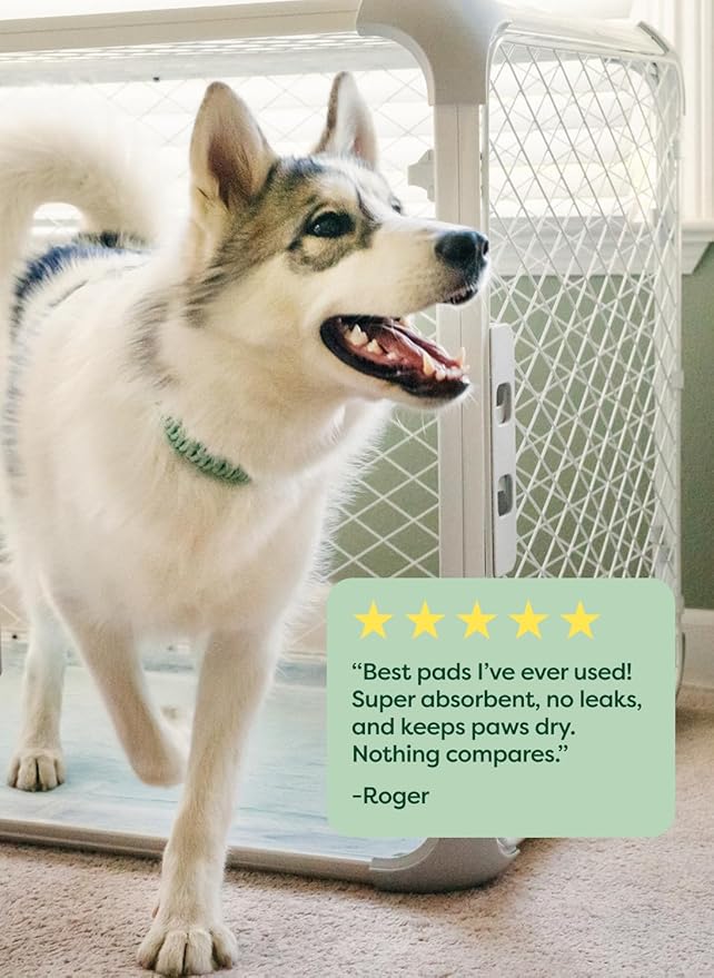 Earth Rated Max Absorbency Puppy Pee Pads for Dogs Absorbs 2X Faster & 2X More, Leak-Proof Odor-Free Potty Training Wee Wee Pad, Unscented, Large, 22” x 23”, 40 Count