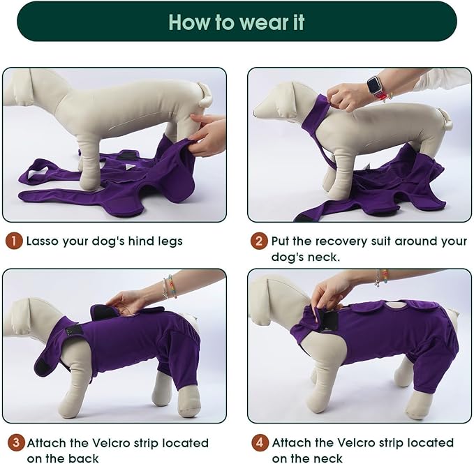Kuoser Dog Surgery Recovery Suit for Rear Legs, Thigh Wound Protective Sleeve for Dogs, Dog Recovery Sleeve for Female Male Dogs, Dog Onesie After Surgery Pet Surgical Suit for Spay Neuter, Purple S