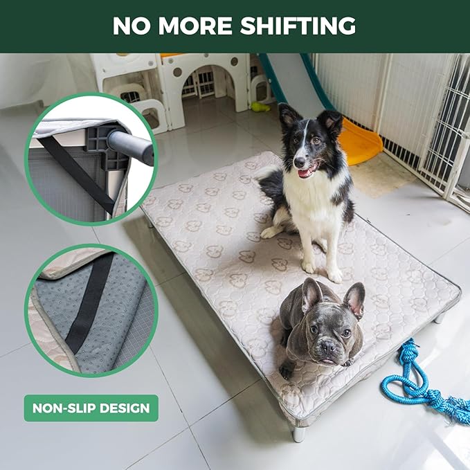 FXW TitanNest Chew-Proof Elevated Dog Bed, Raised Cot for Indoor/Outdoor/Camping Use, Durable & Waterproof Cooling Pet Bed with Exclusive Cover for Extra Large Dogs, 56.0" L x 31.0" W x 7.3" H, Black