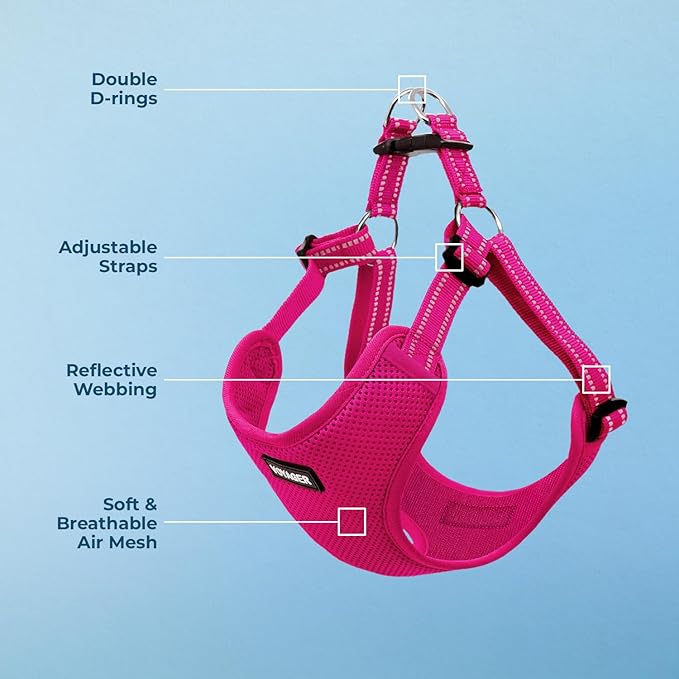Best Pet Supplies Voyager Adjustable Step-In Flex Breathable Mesh Dog Harness for Small Medium Large Dogs (Fuchsia), XL
