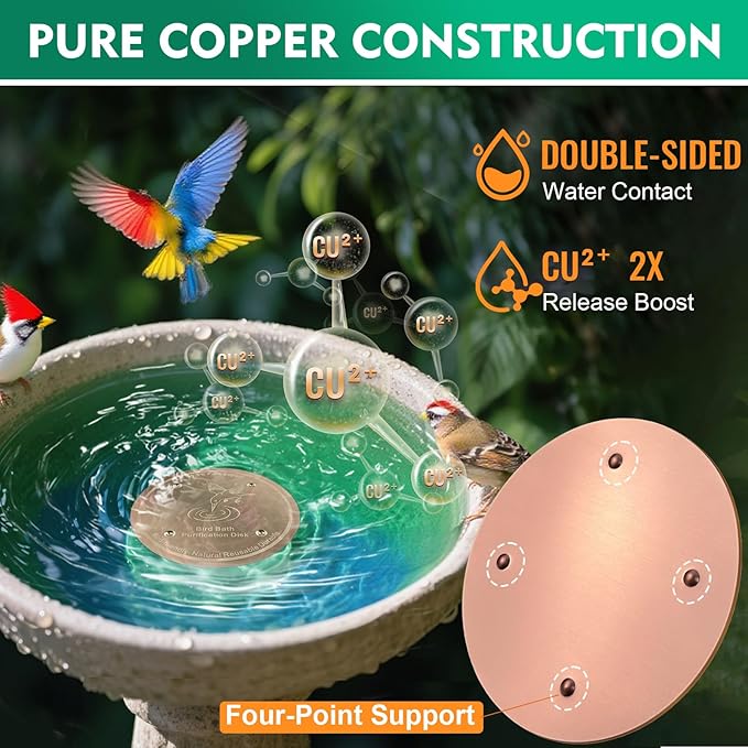 2 Pcs Bird Bath Copper Disk | 99.99% Pure Copper Plate & Birdbath Disk | 0.6mm Thick Reinforced Design | Maintains Clean Water Naturally | Fits All Birdbath Bowls Year-Round (Bird Style 2)