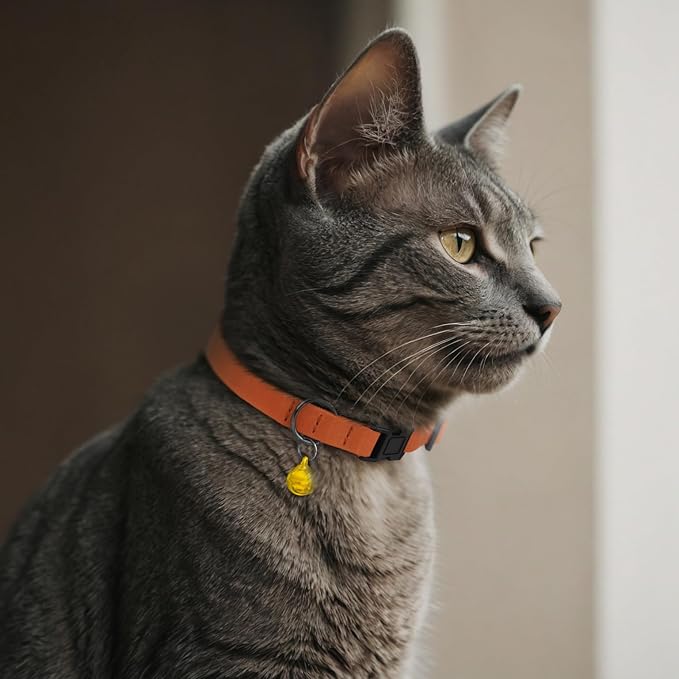 Breakaway Cat Collar Leather with Removable Bell - 13 Colors Available - Soft Adjustable Girl Boy Safety Lightweight Pet Kitten Collars Pink Brown Blue Green Red Orange Black (Red)
