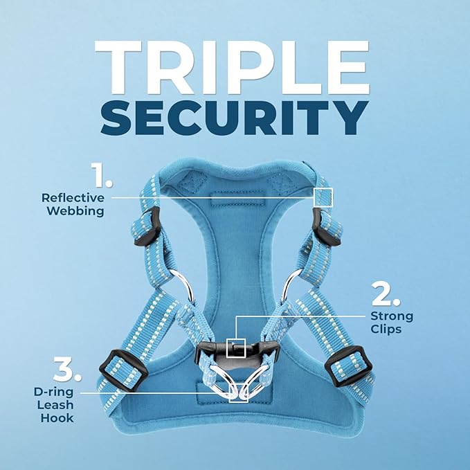 Best Pet Supplies Voyager Adjustable Step-in Flex Breathable Mesh Dog Harness for Small Medium Large Dogs Leash Set (Baby Blue), S