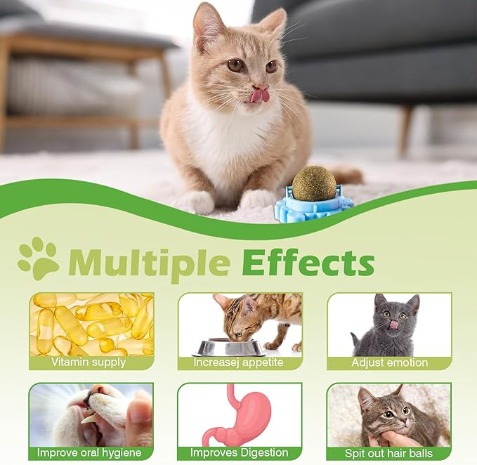 360° Catnip for Cats Wall Catnip Rollerball Licking Ball Cat Nips Mint Magic Cat Stick on Wall Crack Balls Lickable Play Chew Teeth Cleaning Pet Chew Indoor Outdoor
