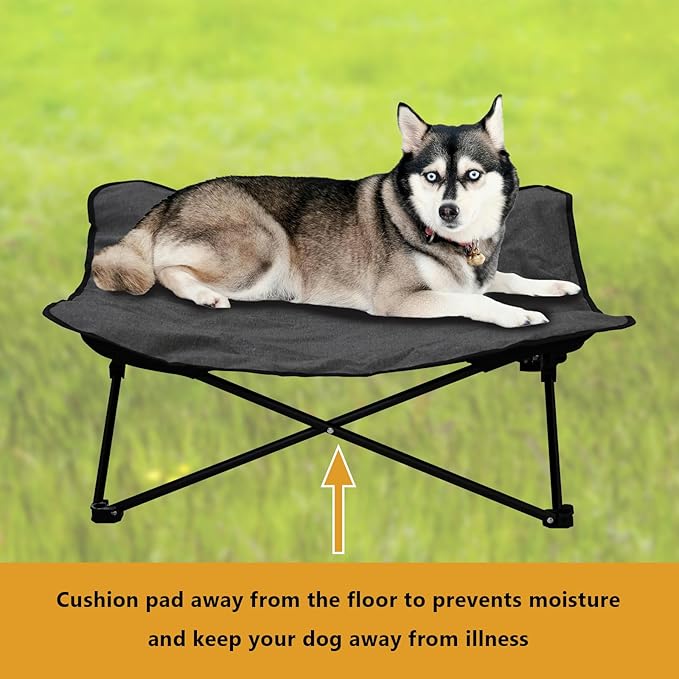 Elevated Dog Bed, Portable Raised Pet Cot for Outdoor and Indoor Folding Dog Cot Bed with Padded Filling Carrying Bag Included Pet Raised Travel Lounger for Camping Traveling (36x36x12inch)