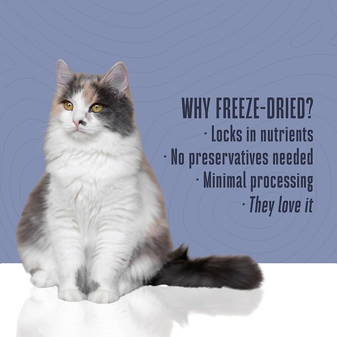 Whole Life Cat Just One Tuna Freeze Dried Cat Treats - Human Grade High Protein Food, Healthy Training Snacks, Freeze Dried Tuna Food Toppers, USA Made Natural Treats - 1.5 oz (Pack of 1)