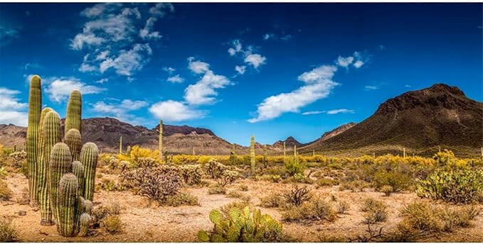 AWERT 48x18 inches Reptile Habitat Background Blue Sky Oasis Cactus Desert Terrarium Background Vinyl