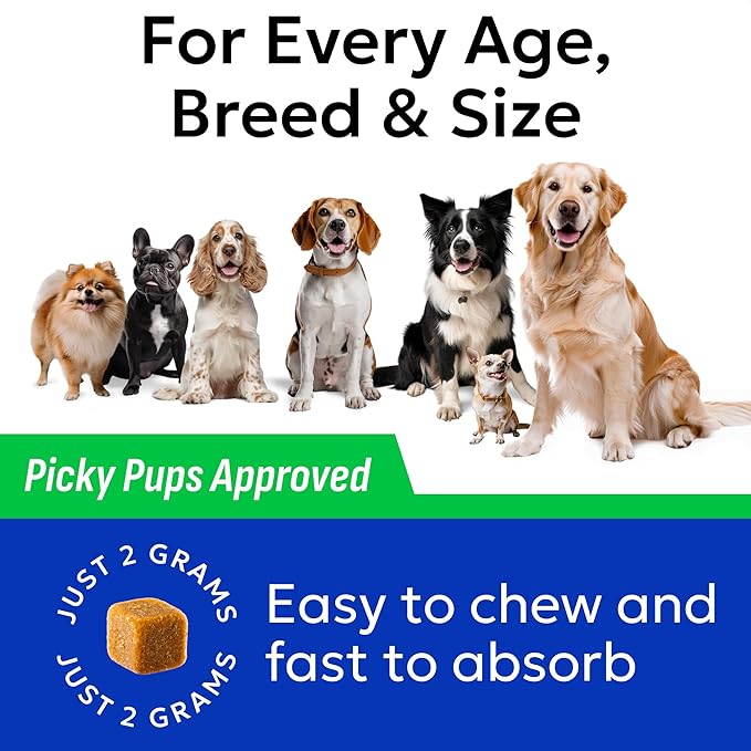 BARK&SPARK Green Grass Chews - Pee Grass Spot Saver Caused by Dog Urine - Urine Neutralizer for Lawn, Gut Health Probiotics & Digestive Enzymes,Lawn Burn from Dog Urine, Grass Burn Spot Chews, Rocks