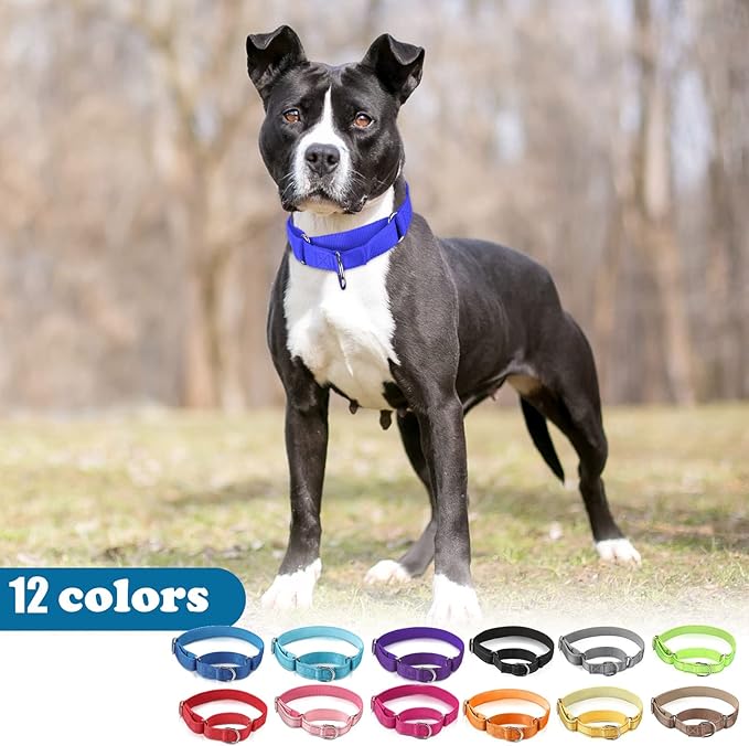 Cunno 12 Pcs Martingale Collar for Medium Dogs Reflective Dog Collar with Durable Metal Buckle Adjustable Nylon Pet Prevent Slipping Out for Pupplies, 12 Colors(Small)